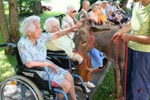Eselbesuch im Altenheim
